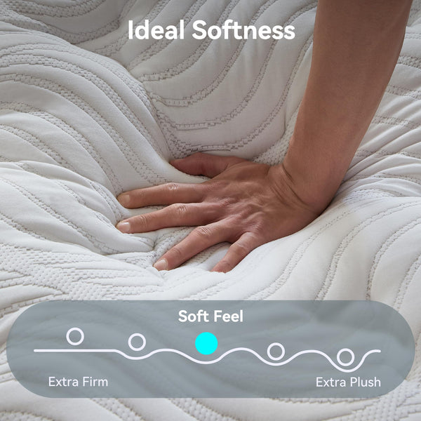 12-Inch Hybrid Mattress with Memory Foam & Pocket Springs