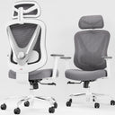 Ergonomic Mesh Office Chair with 3D Lumbar Support & Adjustable Armrests
