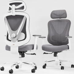Ergonomic Mesh Office Chair with 3D Lumbar Support & Adjustable Armrests