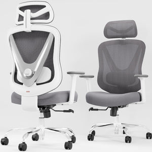 Ergonomic Mesh Office Chair with 3D Lumbar Support & Adjustable Armrests