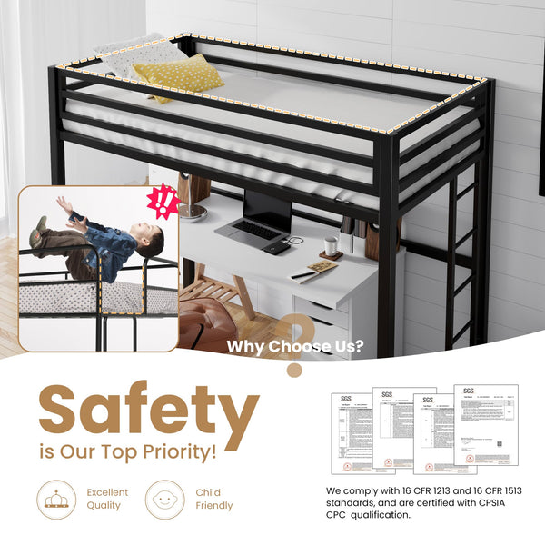 Twin Metal Loft Bed with Ladder and Guardrail