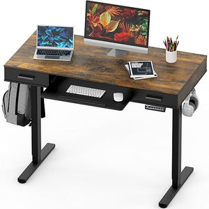 48-Inch Electric Height Adjustable Standing Desk with Keyboard Tray & 2 Drawers