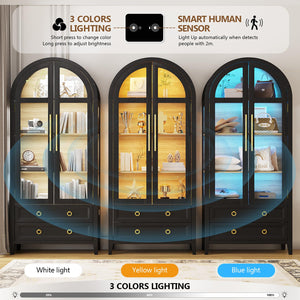 71" Arched Display Cabinet with LED Lighting & Glass Doors