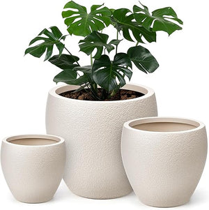 Large Plant Pots with Drainage – Indoor & Outdoor