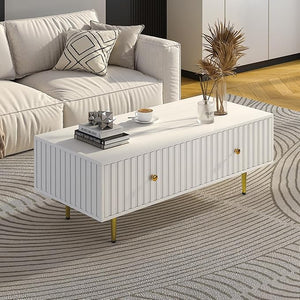 Modern Coffee Table with Storage & 2 Drawers