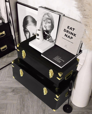 Clear Acrylic Storage Chest Set of 2 with Handles & Hasps