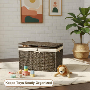 Wicker Storage Trunk with Lid