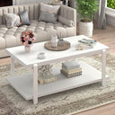 Modern Rectangle Coffee Table with 2-Tier Storage