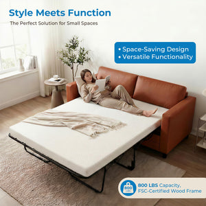 Faux Leather Pull-Out Sofa Bed – Full & Queen Convertible Sleeper
