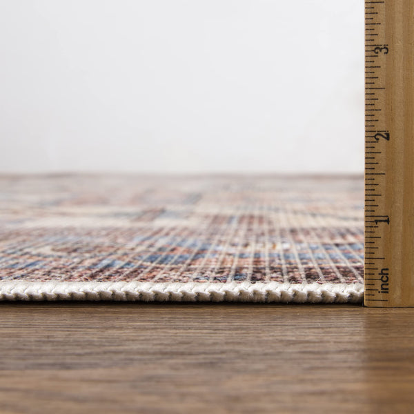 Vintage Medallion Terracotta Area Rug