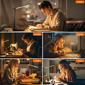 LED Desk Lamp with USB Charging Port