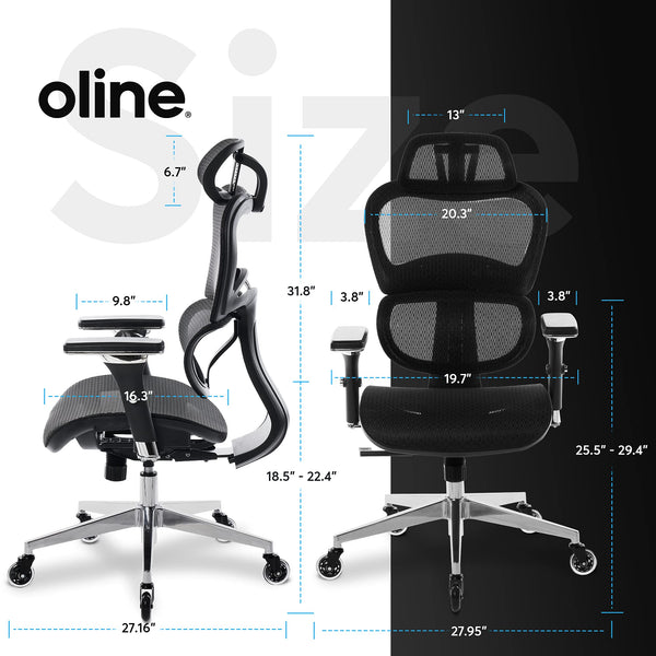 Ergonomic Mesh Office Chair with 4D Armrests, 3D Lumbar Support & Blade Wheels