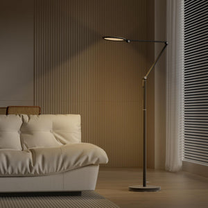 Dimmable LED Floor Lamp with Remote