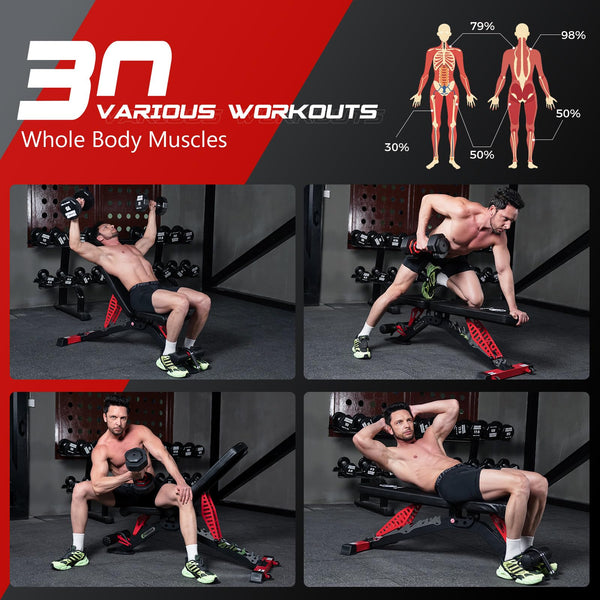Adjustable Weight Bench – Flat, Incline & Decline, 1500 LBS Capacity