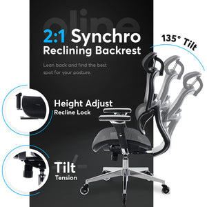 Ergonomic Mesh Office Chair with 4D Armrests, 3D Lumbar Support & Blade Wheels