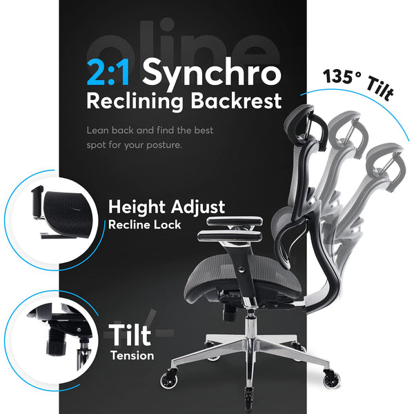 Ergonomic Mesh Office Chair with 4D Armrests, 3D Lumbar Support & Blade Wheels