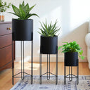 Set of 3 Tall Metal Planters with Stands