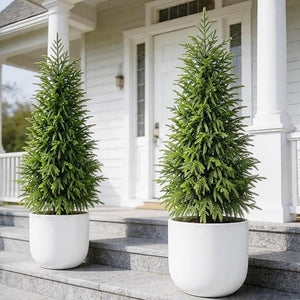 Artificial Norfolk Pine Tree 2-Pack — Indoor & Outdoor Faux Potted Topiary