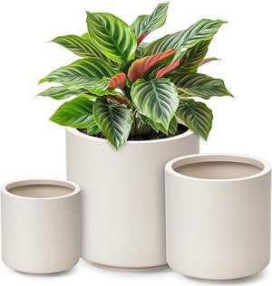 Large Plant Pots with Drainage – Indoor & Outdoor