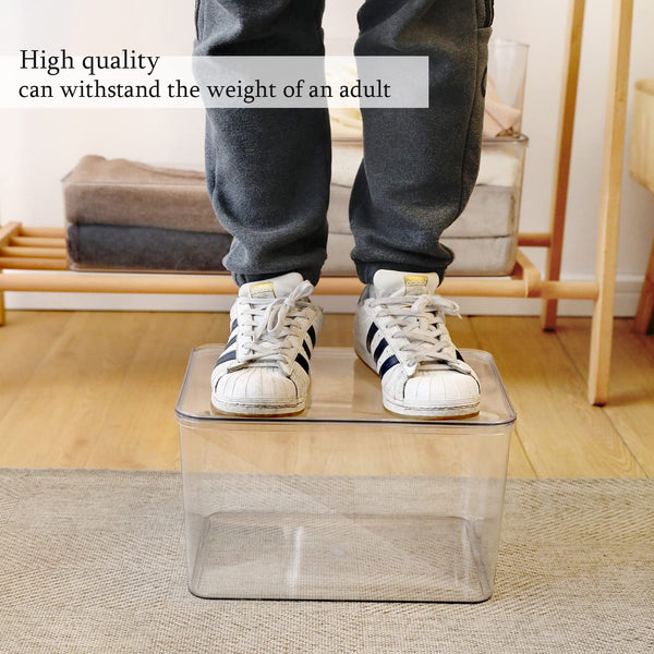 Clear Lidded Plastic Storage Bins Set of 5