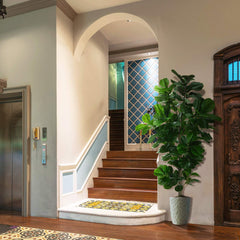 Artificial Fiddle Leaf Fig Tree with Real Wood Trunk & Cement Pot
