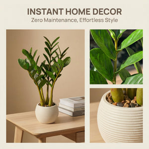 Artificial ZZ Plant in Pot – Set of 2