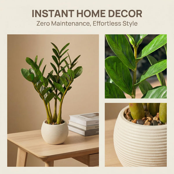 Artificial ZZ Plant in Pot – Set of 2