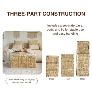 Wicker Storage Trunk with Lid