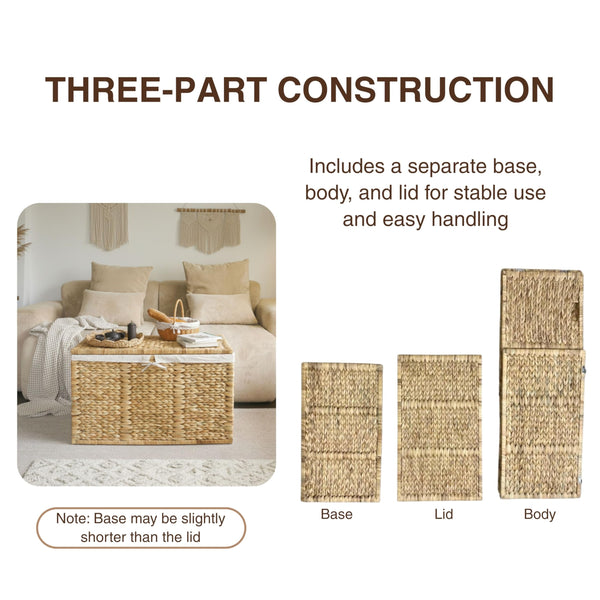 Wicker Storage Trunk with Lid