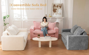 Convertible Loveseat Sleeper Sofa Bed with Cushion & Pillows