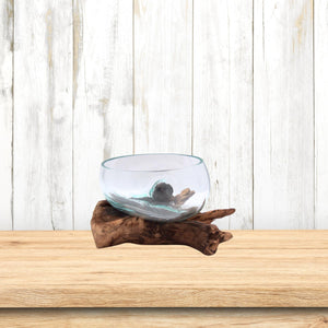 Glass Bowl on Driftwood Figurine – Nautical Coastal Decor