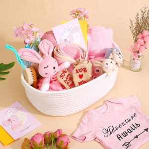 27-Piece Baby Girl Newborn Gift Basket Set