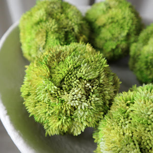 White Textured Ceramic Decorative Bowl with Moss Balls Set of 6