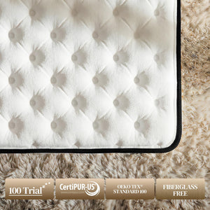 Queen Hybrid Mattress – Medium Firm Pocket Coil & Memory Foam, 12 or 14 Inch