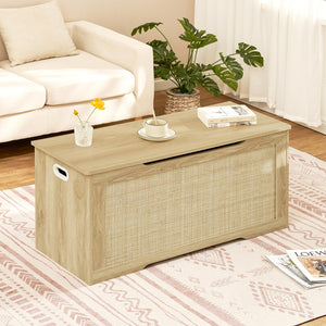 Storage Chest with Safety Hinges