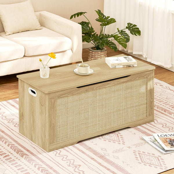 Storage Chest with Safety Hinges