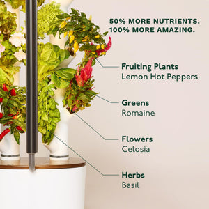 Indoor Hydroponic Growing System with LED Grow Lights