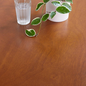 3-Piece Farmhouse Dining Table Set for 2