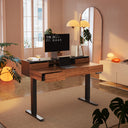 Electric Standing Desk with Drawers & Monitor Shelf, 48 Inch
