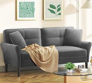 69" Velvet Loveseat Sofa with 2 Pillows | 700lb Capacity | Tool-Free Setup