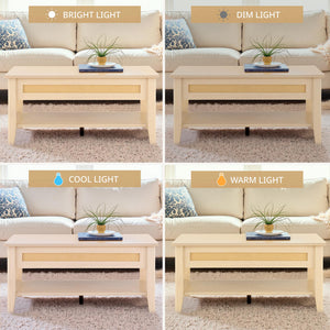 Rattan Lift Top Coffee Table with Hidden Compartment & Storage Shelf