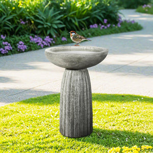 Concrete Pedestal Bird Bath with Textured Base