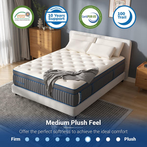 14-Inch Medium Plush Hybrid Mattress with Cooling Gel Memory Foam
