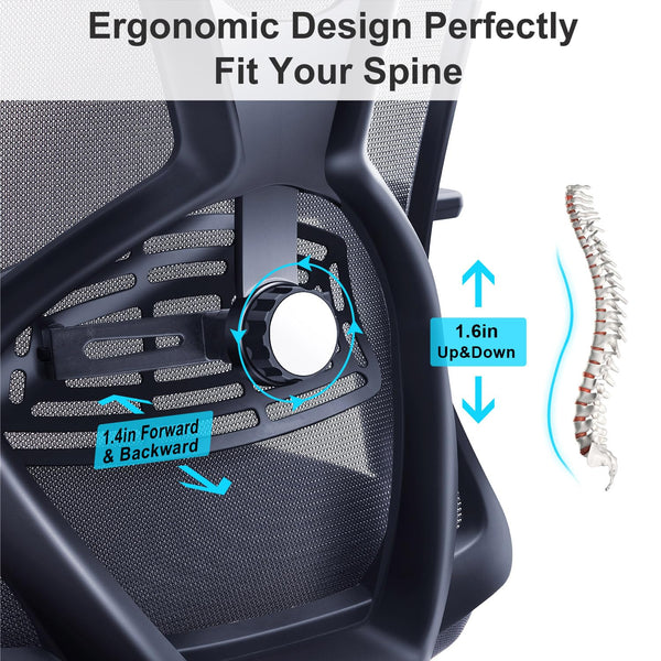 High Back Ergonomic Office Chair with Adjustable Lumbar Support