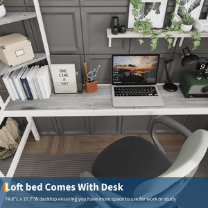 Twin Size Metal Loft Bed with Desk and Storage Shelves