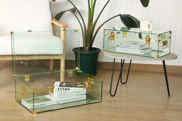 Acrylic Storage Chest Set of 2 with Handles & Hasps