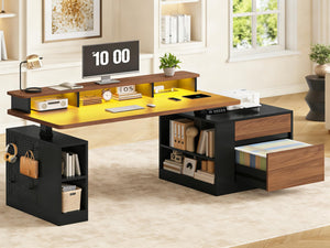 Electric Standing Desk with Storage, Monitor Stand, Power Outlets & LED Lights