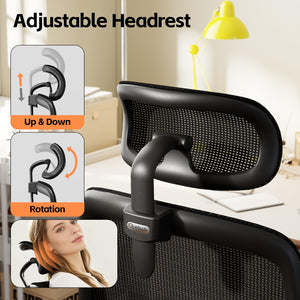 Ergonomic High Back Office Chair with 3D Lumbar Support