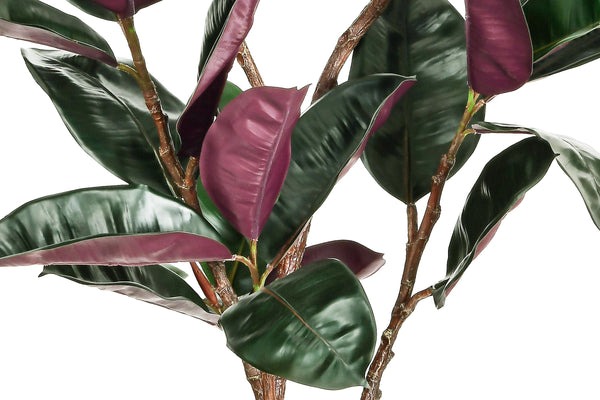 Artificial Rubber Tree with White Pot, 54.5" Tall