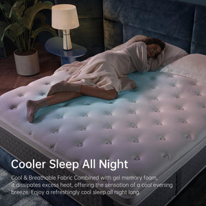 Queen Hybrid Mattress – Gel Memory Foam & Pocketed Coils, Euro Top, Medium Plush